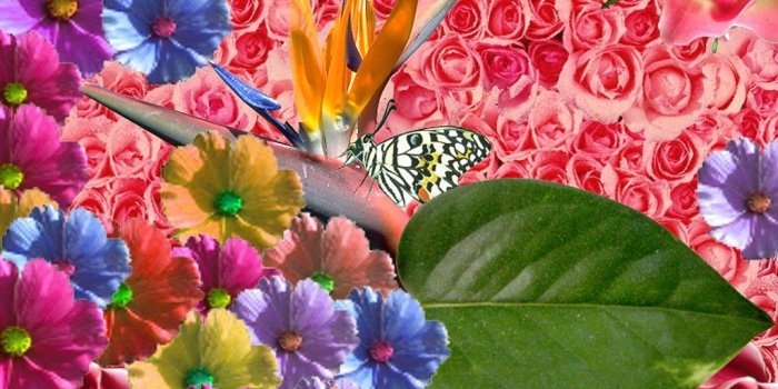 1024x768 beautiful spring wallpaper-spring.0 | The Music Last night