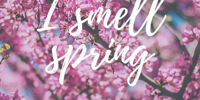 700x1244 Spring Pics For Desktop posted by Michelle Tremblay