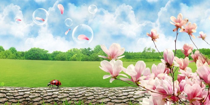 1920x1080 Beautiful Spring Wallpaper ·① WallpaperTag