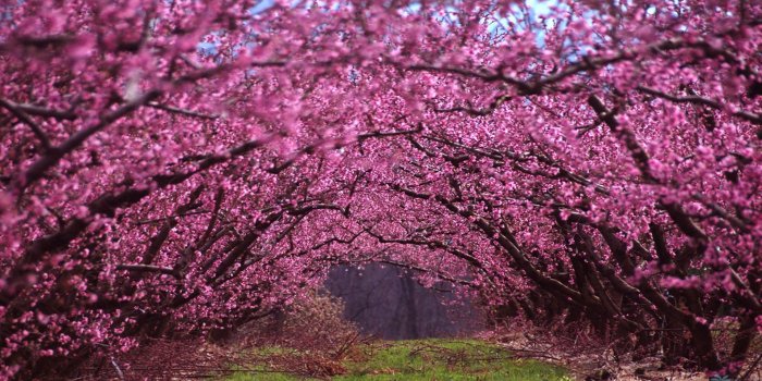 1920x1080 Beautiful Spring Photos wallpaper | 1920x1080 | #83274