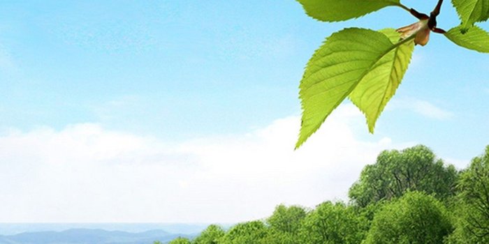 1080x1920 iPhone 7 Wallpaper Beautiful Spring | 2020 3D iPhone Wallpaper