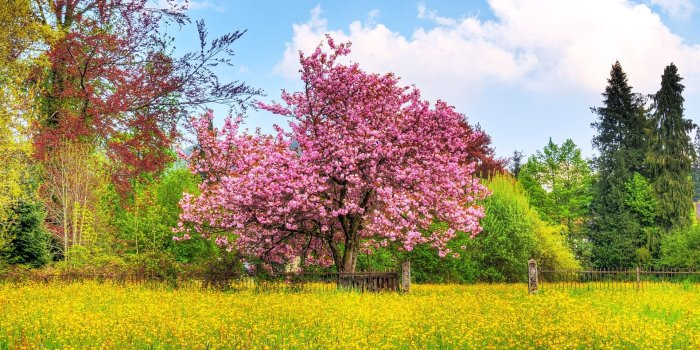 1920x1200 Beautiful Spring wallpapers | Beautiful Spring stock photos