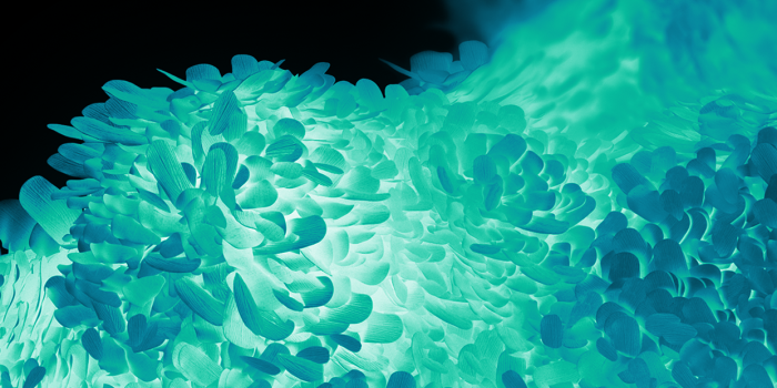 1242x2688 Samsung Galaxy S20 wallpaper iPhone mods