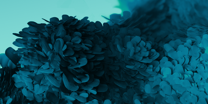 1242x2688 Samsung Galaxy S20 wallpaper iPhone mods