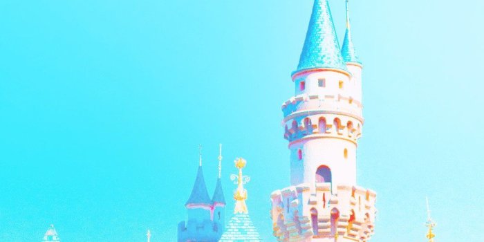 1080x1920 Iphone Wallpaper Disneyland