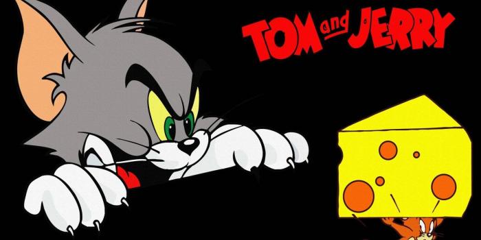 1680x1050 Puss Tom And Mouse Jerry Cartoon Hd Wallpaper For Desktop