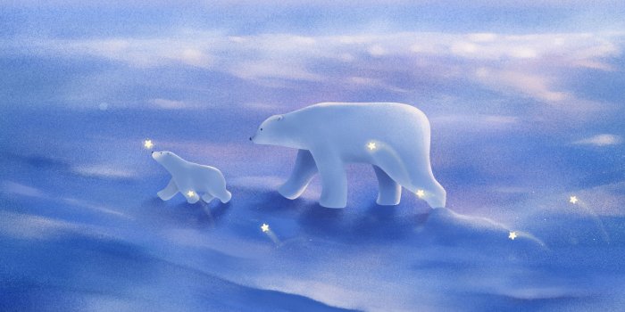 2560x1440 Polar Bear Wallpapers - Top Free Polar Bear Backgrounds
