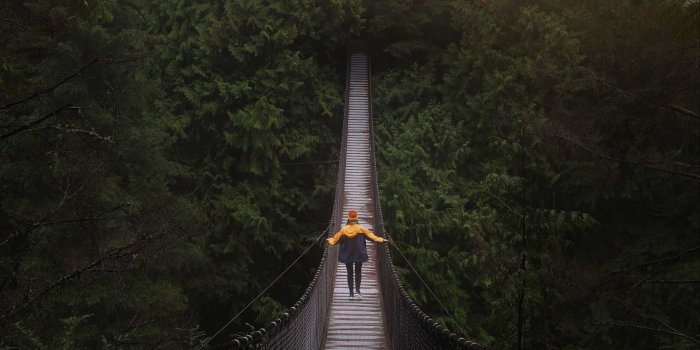 1920x1080 Download wallpaper 1920x1080 bridge, man, hanging, trees, forest
