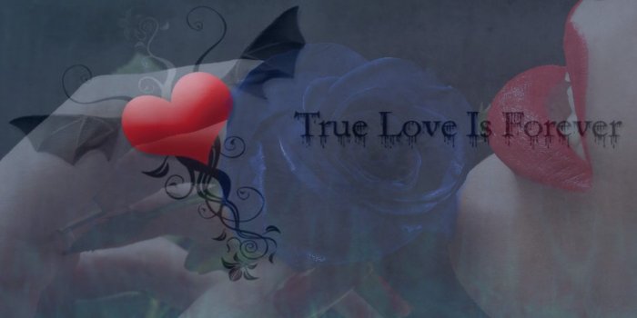 1920x1080 True Love Forever Wallpapers - Top Free True Love Forever