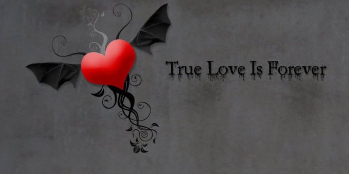 2560x1440 True Love Forever Wallpapers - Top Free True Love Forever
