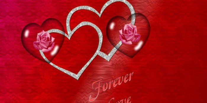 1024x768 Free download True Love Background 25421 Hd Wallpapers in Love