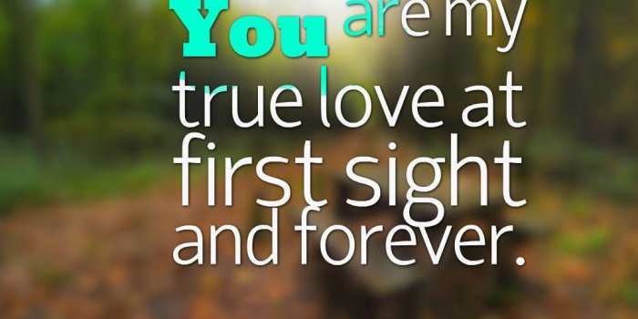 1024x768 True Love Forever Wallpapers - Top Free True Love Forever