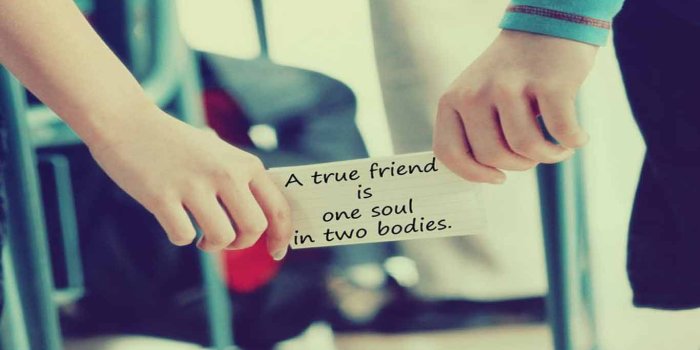 1366x768 Full Size Best Friend Hd Wallpaper Download