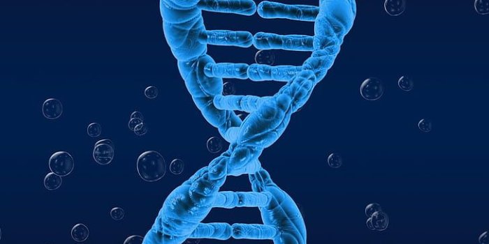 728x1294 DNA 1080P, 2K, 4K, 5K HD wallpapers free download | Wallpaper Flare