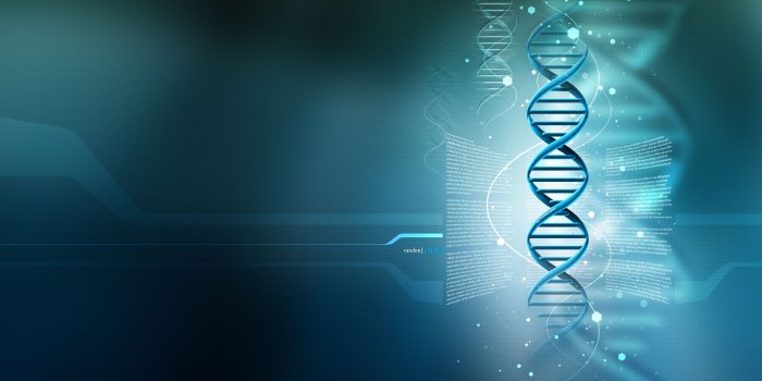 2560x1600 15 DNA Structure HD Wallpapers | Background Images