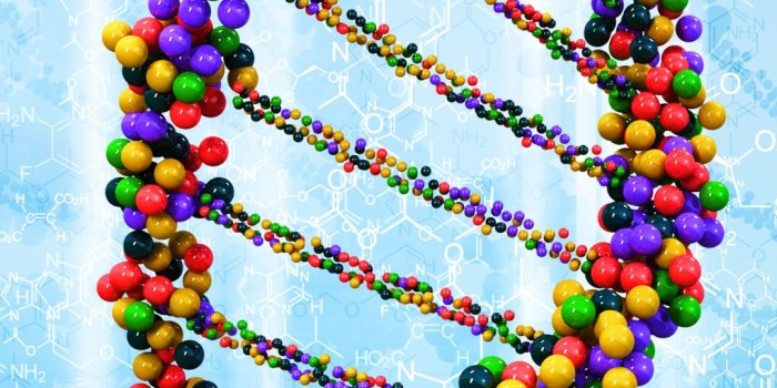 1080x2160 Dna Hd Wallpaper For Mobile - 1080x2160 Wallpaper - Ecopetit.cat