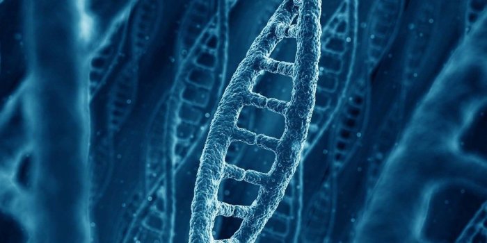 1152x864 DNA Wallpapers HD Images New Desktop Background