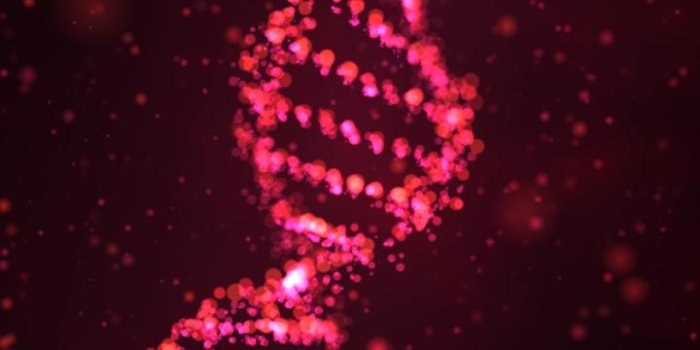 720x1280 Particle DNA Live Wallpaper for Android - APK Download