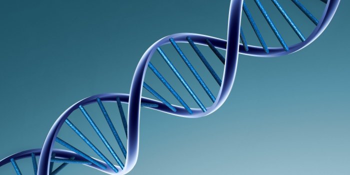 2560x1600 DNA Wallpapers