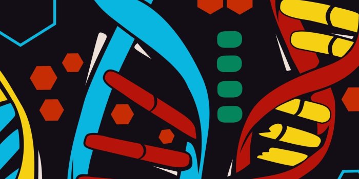 1440x2560 Some wallpaper love for you Mobile users in 2020 | Black wallpaper