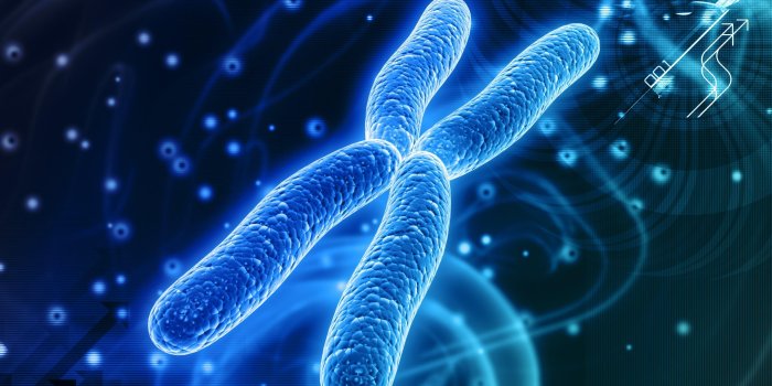 3600x2250 Chromosome Wallpapers