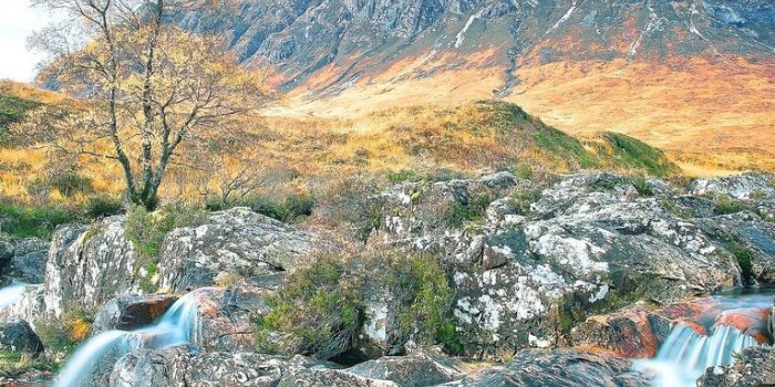 766x1365 Scotland iPhone Wallpapers - Top Free Scotland iPhone Backgrounds