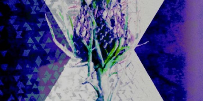 719x1280 Scotland flag wallpaper by StephMarr84 - 9a - Free on ZEDGE™