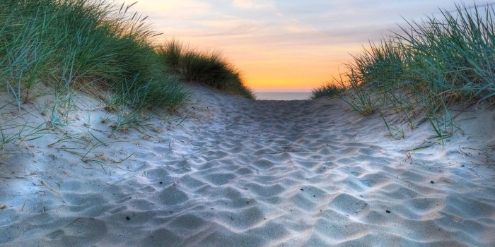 1332x850 Wallpaper sand, sea, grass, water, macro, nature, the ocean, coast