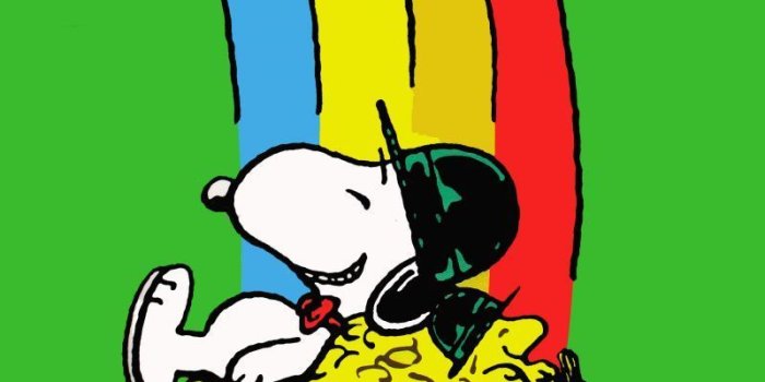 800x1200 SNOOPY ST. PATRICK'S DAY Flag | St patricks day wallpaper