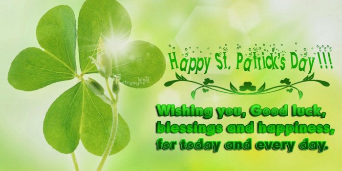 1600x1000 Happy St Patricks Day, Wishing You Good Luck Pictures, Photos, and