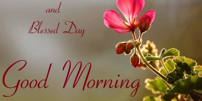 1024x768 Good Morning And Blessed Day (#106386) - HD Wallpaper