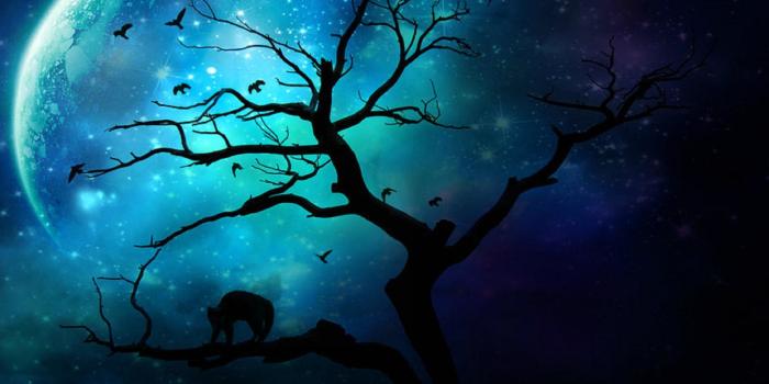 2560x1920 Night Winter Snow Moon Scene Landscape Desktop Wallpaper - Burmis