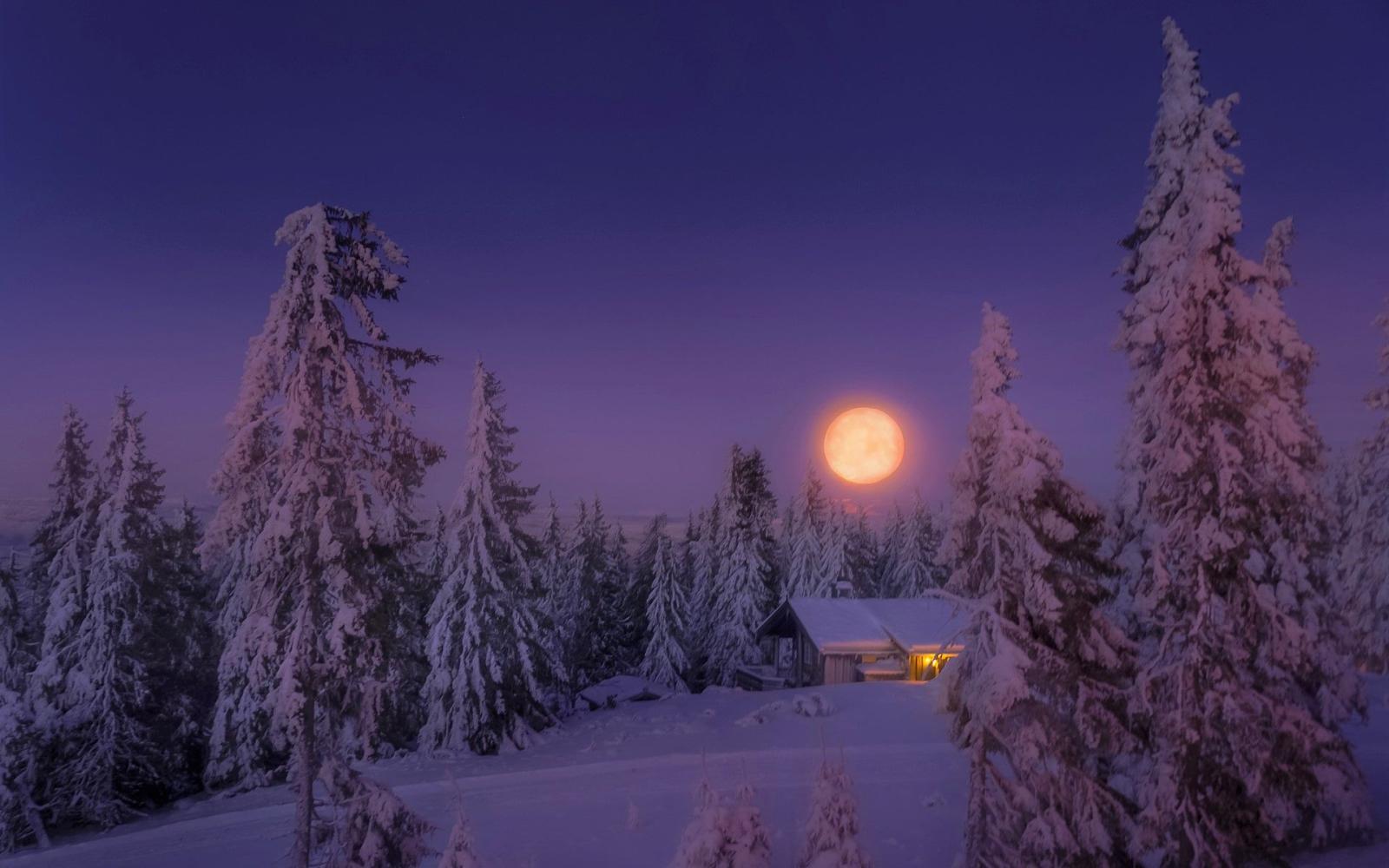 1920x1200 Full Moon on a Winter Night HD Wallpaper | Background Image