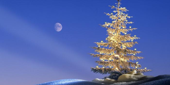 1920x1080 Happy Christmas Golden Tree Lights Snow Moon Hd Wallpaper