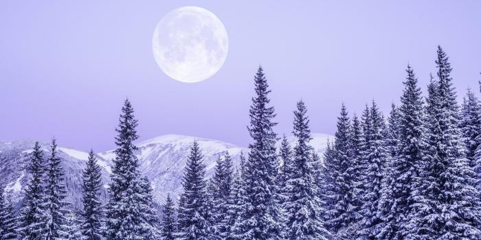 2560x1440 A Snow Moon, the first supermoon of 2020, will light up the sky