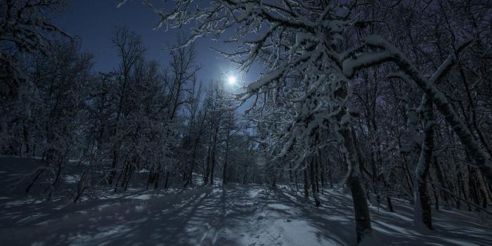 1920x1282 Snow Night Wallpaper - 1920x1282 Wallpaper - Ecopetit.cat