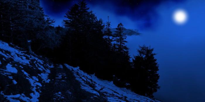 1332x850 Wallpaper winter, forest, the sky, snow, trees, nature, fog