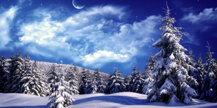 1600x900 Download 1600x900 Snow, Moon, Trees, Scenic, Stars Wallpapers