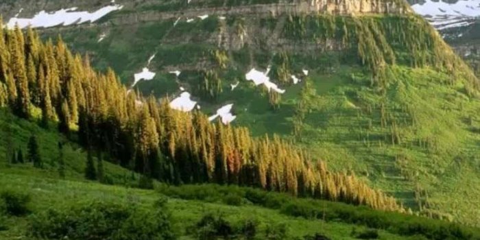 772x1080 Astore Valley, Pakistan #Architects #Construction #Architecture