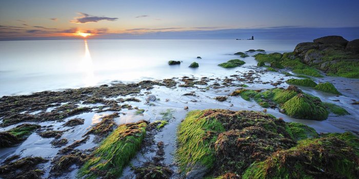 1920x1200 3d Pakistan Flag Wallpapers 2015 Top - Pakistani Natural Hd