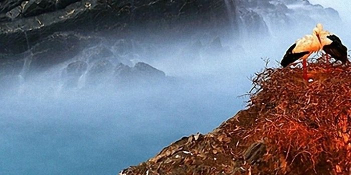 1080x1920 1080x1920 Nature Bird Mountain Clouds Wallpapers HD