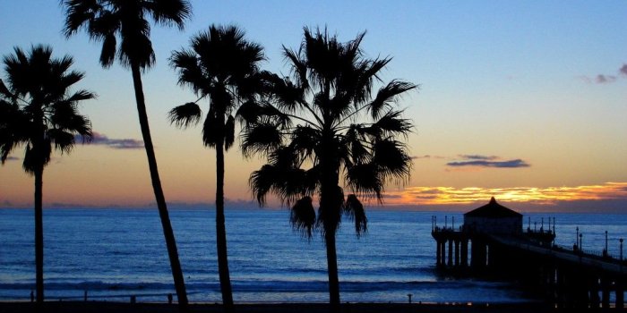 1024x768 Free download California Palm Trees Beach California Beaches Palm