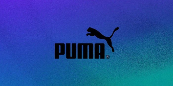 1080x1920 Puma Wallpapers (71+ pictures)