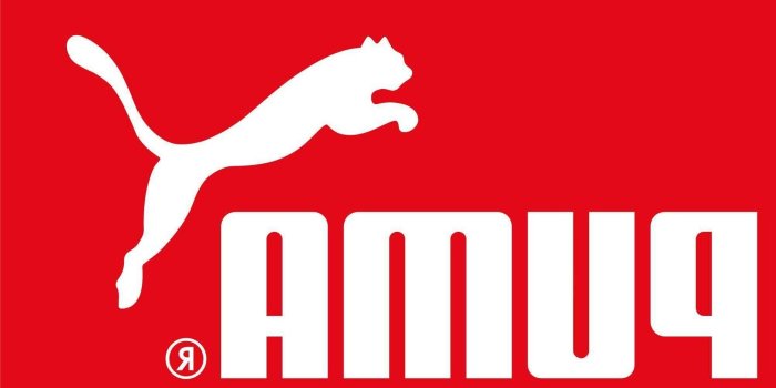 2007x1217 Wiki Bmw Famous Pictures Logo Pic Wpb005591 - Puma (#1603295) - HD