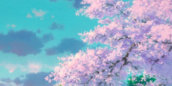 1280x700 Studio Ghibli | The Floral Art Of Studio Ghibli | Studio ghibli