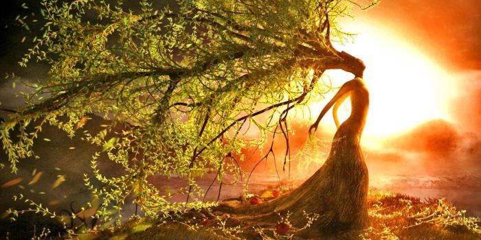 1600x1200 Free download SoulShines Summer Solstice Wild Woman Retreat Soul