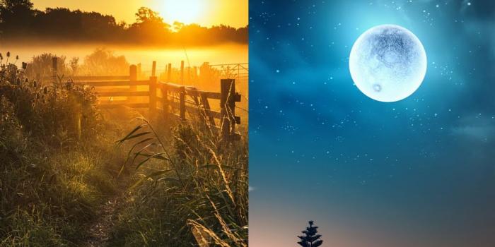 1024x768 Free download Full Moon Summer Solstice Alchemy Sonya Genel