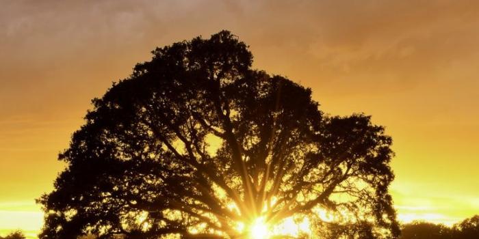 768x1280 Summer Landscape Ultra HD Desktop Background Wallpaper for : Multi