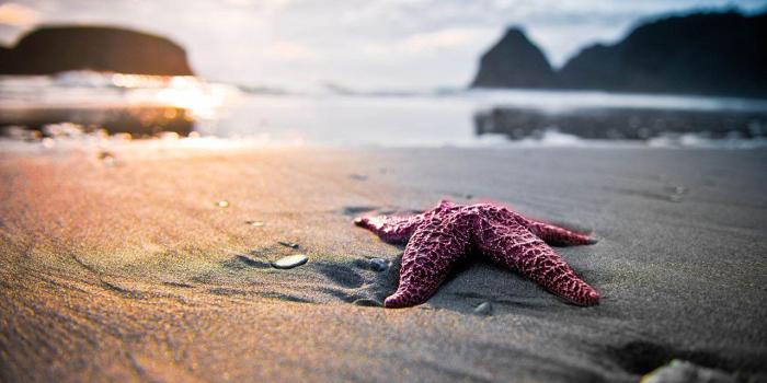 1280x800 Summer Solstice Wallpapers