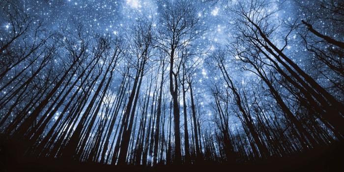 1600x900 Summer Solstice, Midsummer Night's Dream - Good Times Santa Cruz